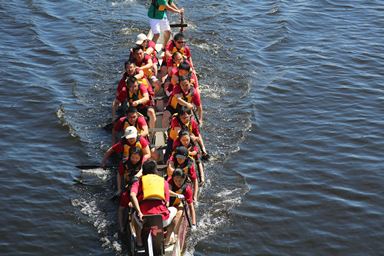 Dragon Boat Racing